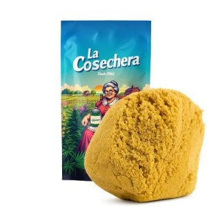 Polen rubio cbd al por mayor