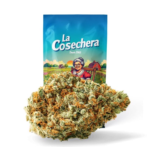 amensia cbd mayoristas