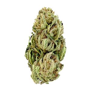 Flor de Cali Orange CBD de La Cosechera B2B con cogollo compacto y tricomas visibles