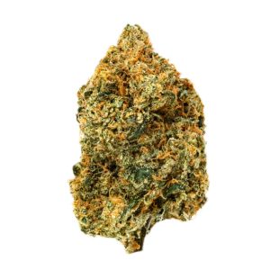 Girl Scout Cookies CBD flor greenhouse al por mayor detalle de cogollo La Cosechera