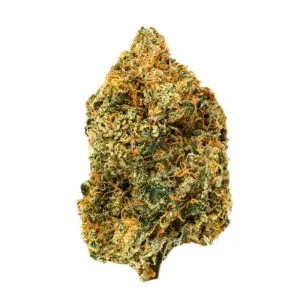 Flor CBD Girl Scout Cookies greenhouse detalle cogollo tienda CBD premium La Cosechera