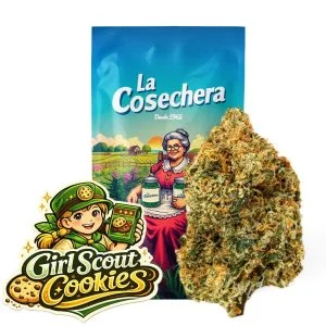 Flor CBD Girl Scout Cookies con packaging premium La Cosechera