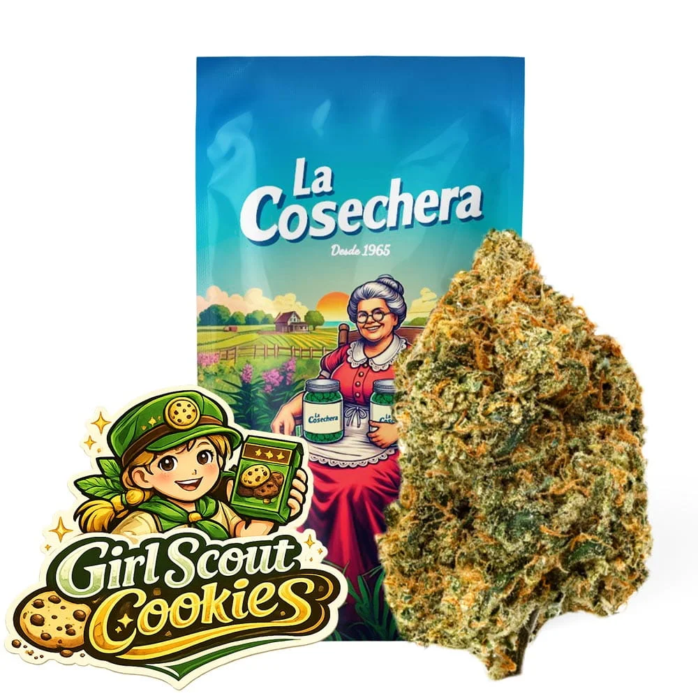 Girl Scout Cookies Greenhouse Flores CBD