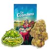 Flor CBD Mimosa mayorista con packaging La Cosechera