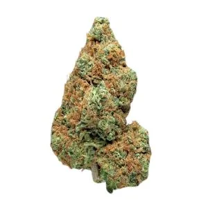 Detalle de cogollo White Widow CBD flor greenhouse en tienda CBD La Cosechera