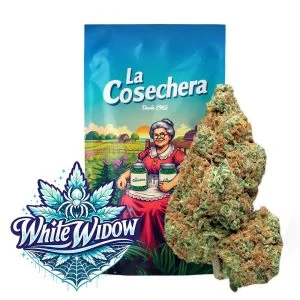 Flor CBD White Widow con packaging premium de La Cosechera