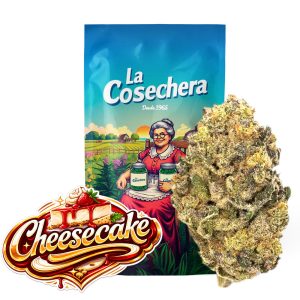 Cheesecake Greenhouse Flores de CBD