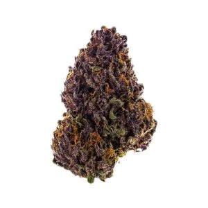 Flores CBD Purple Haze Greenhouse con cogollos compactos y destellos violáceos de La Cosechera