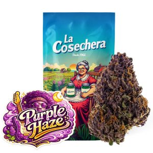 Purple Haze Greenhouse Flores de CBD
