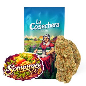 Somango Greenhouse Flores de CBD