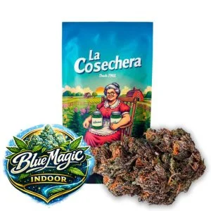 Flores aromáticas Blue Magic Indoor de La Cosechera para ambientación y coleccionismo