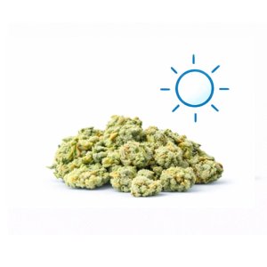 Small Buds CBD Exterior al por Mayor