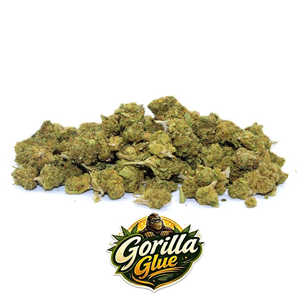 Gorilla Glue Small Buds CBD de La Cosechera, ejemplo real para comparar cultivo CBD