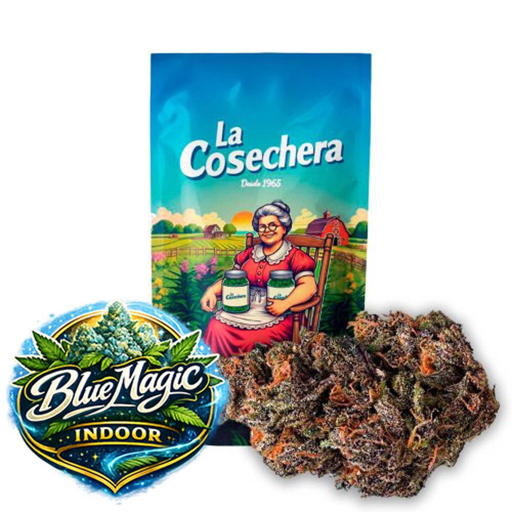 Blue Magic Indoor en primer plano